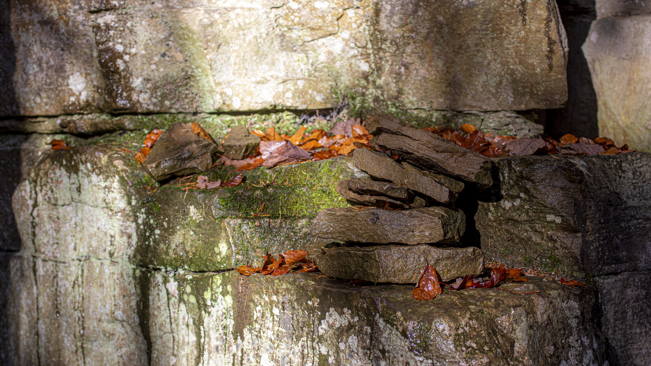 20251129121651 RD4 0770